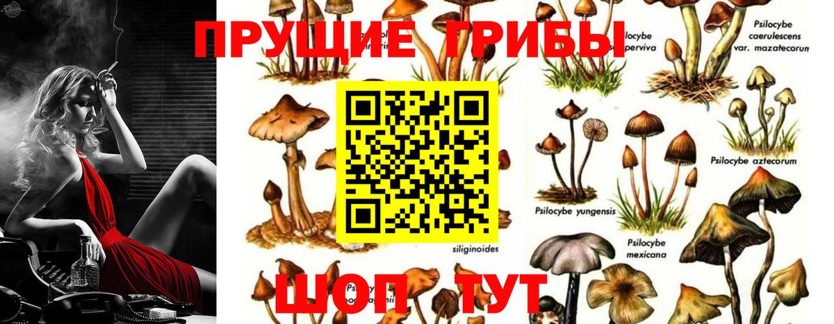 Галлюциногенные грибы Psilocybe  Псилоцибиновые грибы ЛСД  Городец  Вход с VPN 