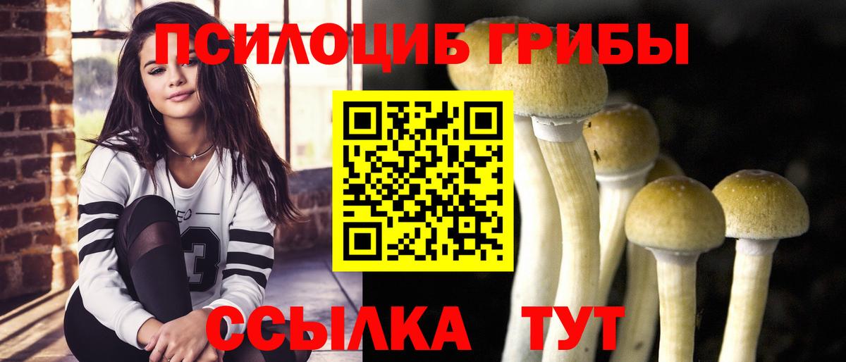 Галлюциногенные грибы ЛСД Городец